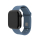 Pasek do smartwatchy FIXED Silicone Strap Set do Apple Watch 40/41/42 mm green-blue